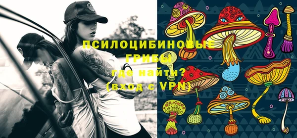 героин Горняк