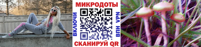Купить  Миллерово  Псилоцибиновые грибы Cubensis 